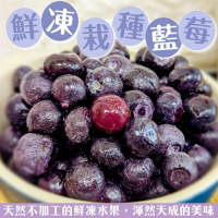 (滿額)【天天果園】冷凍美國栽種藍莓1包(每包約200g)