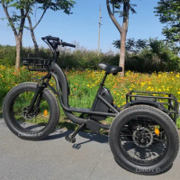Amazing design trike 750W Motor Fat Tire 3 Wheel E Tricycle Three Wheels Adult Cargo Electric Bike With Basket