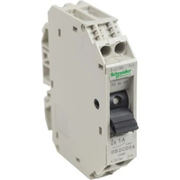 Schneider GB2CD06 Thermal magnetic CB TeSys GB2 1P+N 1A 50 kA 240v