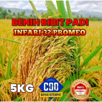 (5KG) BENIH PADI INPARI 32 PROMEO SUPER PREMIUM UNGGUL BERKUALITAS