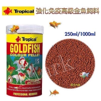 金魚琉金的價格推薦第4 頁 21年7月 比價比個夠biggo
