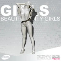1/24 Resin Figure Kits Beauty Model Self-assembled 75mmTD-2159