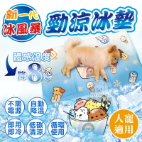 【瑕疵品】XL號 新一代冰風暴 勁涼冰墊 極勁涼 冰墊 寵物冰墊 散熱 降溫 人寵冰墊 酷涼冰墊  狗冰墊 夏季 涼感 寵物用品