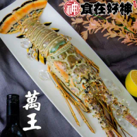 【食在好神】野生花龍龍蝦350G