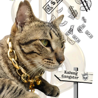 Kalung kucing anjing rantai plastik premium