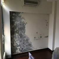 【陳師傅文化石-壁癌牆改造】防潮文化石牆面-負壓防水(保固8年。絕不掉落。工程款可刷卡金額)