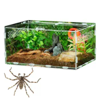 New Acrylic Terrarium Spider Breeding Box Reptile Feeding Box For Climbing Pet Terrarium Snake Spider Lizard Scorpion Centipede