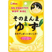 日本製 Lion 柚子皮 果乾 糖果 果皮 柚子 零食 柚子皮 小點心 水果乾 無色素 無香料 正版 J00030610