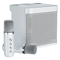 Dual Microphone Karaoke Machine for Adults Kids Portable Bluetooth PA Speaker System with 2 Wireless Microphones Home Musix Box