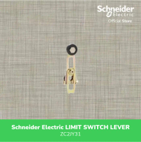 Discount Schneider Electric Limit Switch Lever-Zc2Jy31
