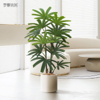 可開票 超低價 免運 高端輕奢仿真綠植棕竹盆栽仿生假植物室內客廳櫥窗景觀裝飾擺件 快速發貨