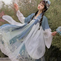 Chinese Style Hanfu Suit Han Dynasty Element Women's Embroidery Printed Spring Summer Antique Hanfu Dress