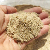 Pasir kusus Kelomang halus buat alas Kelomang