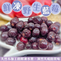 【天天果園】冷凍加拿大野生藍莓1包(每包約200g)(滿額)