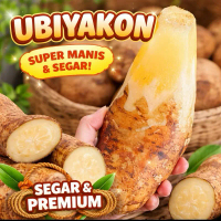 Ubi yakon premium wonosobo Food