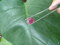 batu permata natural ruby no treatment heat memo sertifikat 7.70 ct
