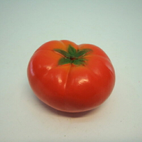 《食物模型》蕃茄 水果模型 - B1039