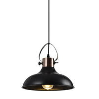 โคมไฟแขวนเหล็ก (E27x1) LUZINO รุ่น F8930 ขนาด 30 x 30 x 26 ซม. สีดำ
