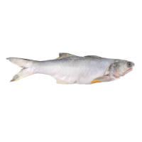 【海鮮主義】肉質鮮嫩午仔魚3包(300g±10%/包)