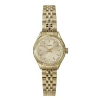 Jam Tangan Wanita Timex Legacy Mini TW2W91000 Ladies Gold Dial Gold Stainless Steel Strap