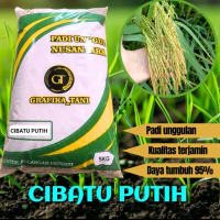 benih padi Cibatu putih premium 100% original kemasan 5kg