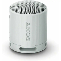 SONY SRS-XB100 可攜式無線藍牙喇叭 (四色選)-灰色