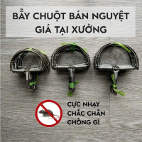 Cạm bẫy chuột sóc rừng cực nhạy bén   Tính năng nổi bật:  Cạm bẫy chuột sóc rừng cực nhạy bén có răn