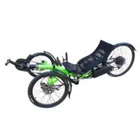 Five Year Warranty 3 Wheel Pedal Assisted Suspension Electric Recumbent Trike Motor Tricycle For Elderly custom