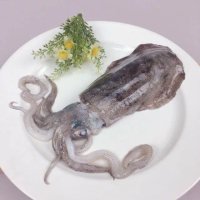 【Camaron 卡馬龍】菲律賓野生特級軟絲200g-300g(2入/1包)