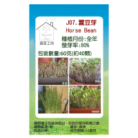 【蔬菜工坊】J07.蠶豆芽種子(芽菜種子)
