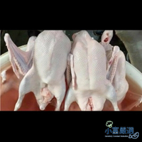 【小富嚴選】肉品鵝肉類-生鮮鵝肉-生鮮全鵝3.5kg (有頭有翅有腳)台灣屠宰 鵝肉 鴨肉