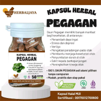 HERBAL JAYA || KAPSUL PEGAGAN || ISI 50 KAPSUL 100% HERBAL ALAMI