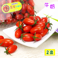 【愛蜜果】溫室玉女牛奶小蕃茄2盒(600克/每盒)