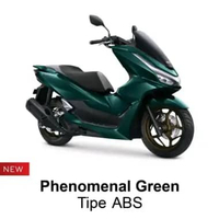 All NEW PCX ABS 160 Phenomenal Green Bandung