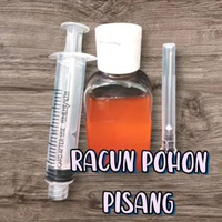SUNTIK racun pohon Pisang Liar, AmPuh!!