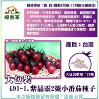 【綠藝家】大包裝G91-1.紫晶靈2號小番茄種子 20顆
