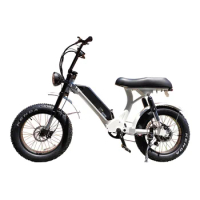 2023 custom step through 2 seat full suspension fat tire electric mountain bike from China