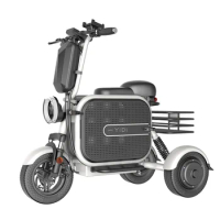 500W/1000W 3 Wheel Electric Cargo Bike Electric Tricycle For Handicapped Cargo Tricycle For Sale