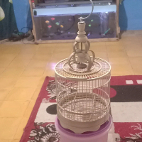 Sangkar Cungkok Full Bambu D22