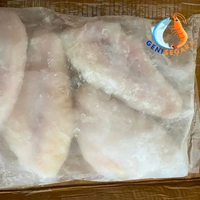 Dori Fillet - Ikan Fillet MPASI Dori Patin 1 Kg