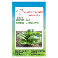 【蔬菜工坊】A98.綠翡翠萵苣種子2.8克(2200顆)