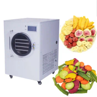 High Quality Household Vacuum Freeze Dryer Machine Multifunctional Lyophilizer Dehydrator For Vegetables Fruit Meat And Pet Food