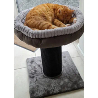 Large Cat Scratching Post with Platform Bed Cat Scratcher Tree Perch with Hammock Interactive Scratcher for Kittens Pet Supplies