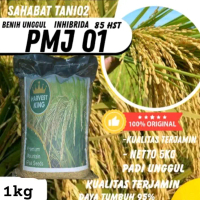 benih padi bibit padi unggul pmj 01 berkualitas original kemasan 1kg
