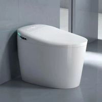 Smart Toilet One-Piece Bidet Toilet with Built-in Water Tank Multifunctional Seat Heating Dual Flush Toilet Warm Water Tankless