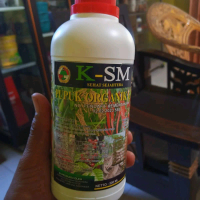 Pupuk KSM Boster Buah untuk Singkong, Porang, Bengkoang, Sawit, Kopi, Kakao, Durian - Tanaman Singko