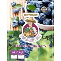 Bibit Premium Blueberry | Benih Unggul Blueberry