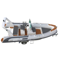 5.2m Rigid Inflatable Rowing Boats for Fishing Jet Ski High Speed Boat Suit Engine for Sale 3-5 Years 8 Persons Optional CN;SHN