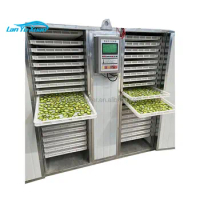 Industrial Professional Fruit vegetable lemon food freeze drying dryer Dehydrator machine fish dryers