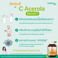 วิตามินซี ชนิดเม็ด เสริมภูมิคุ้มกัน ผิวสวยต้านอนุมูลอิสระ ภูมิแพ้ Acerola Cherry Extract 1000mg. 60 